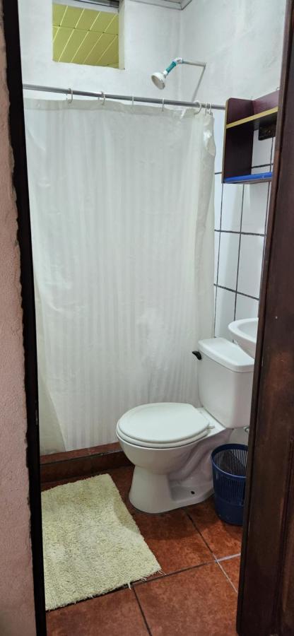 Hotel Alba Rent 2 Quepos Zewnętrze zdjęcie